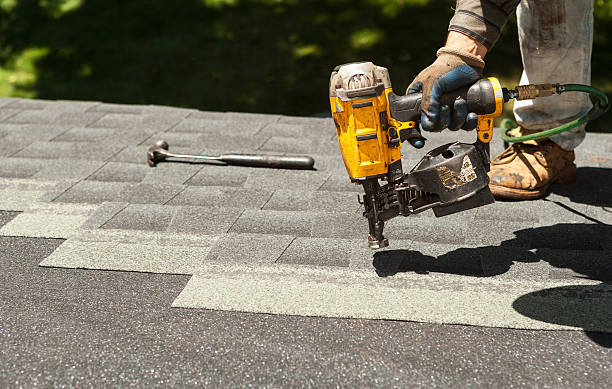 Best Roof Gutter Cleaning  in Sweet Home, AR